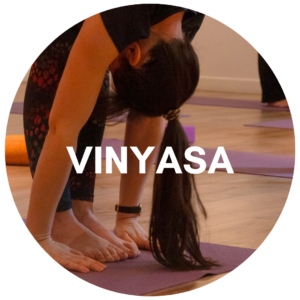 #yogacastries #hathayogacastries #vinyasacastries